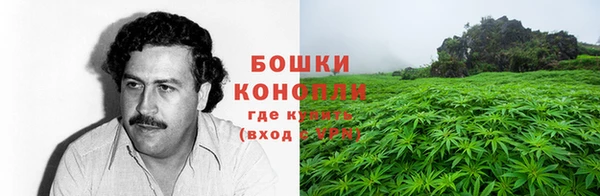 соль ск Арсеньев