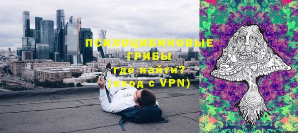 соль ск Арсеньев