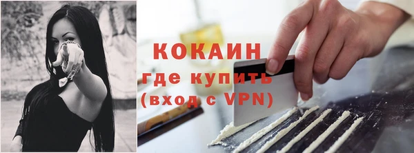 индика Аркадак
