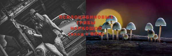 соль ск Арсеньев