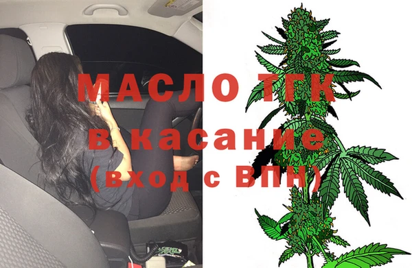 индика Аркадак