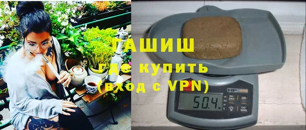 индика Аркадак