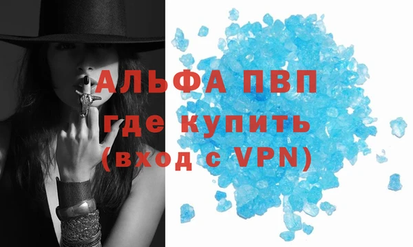 индика Аркадак